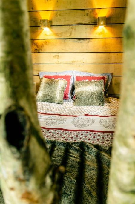 La Cabane Du Cerf Et Son Sauna Attre Экстерьер фото